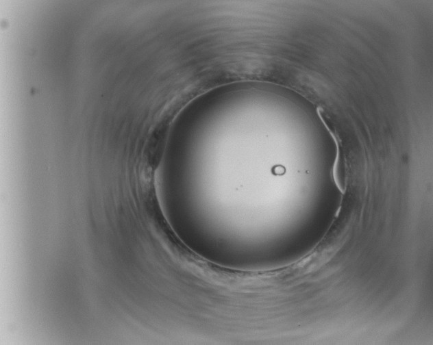 X0000073730040200608101941