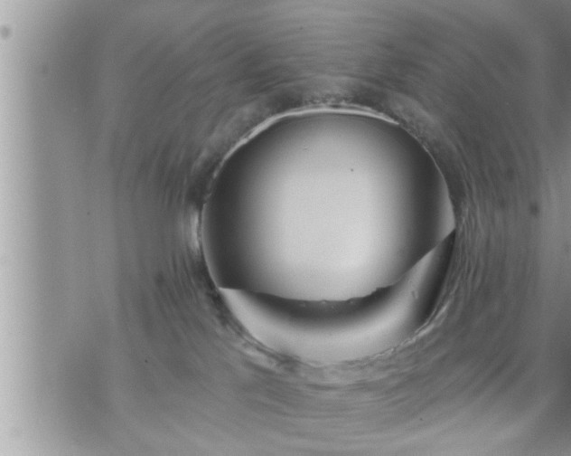 X0000073730041200608101941