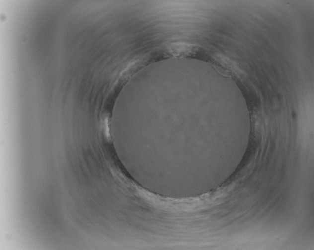 X0000073730042200608101941