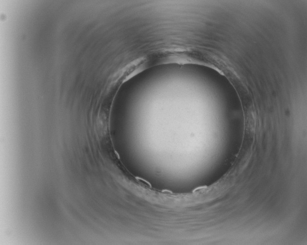 X0000073730043200608101941