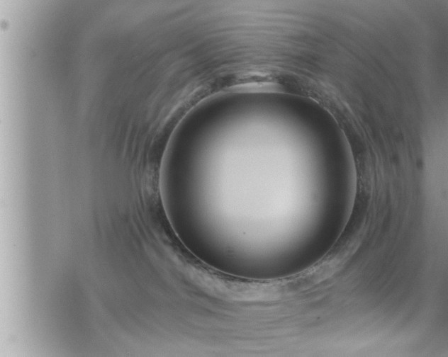 X0000073730044200608101941