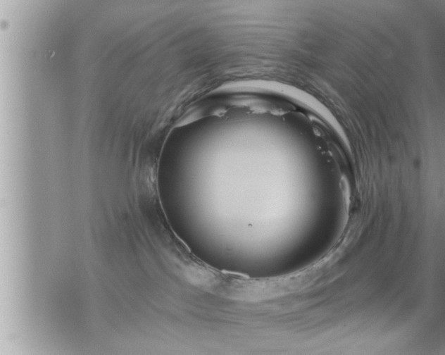 X0000073730045200608101941