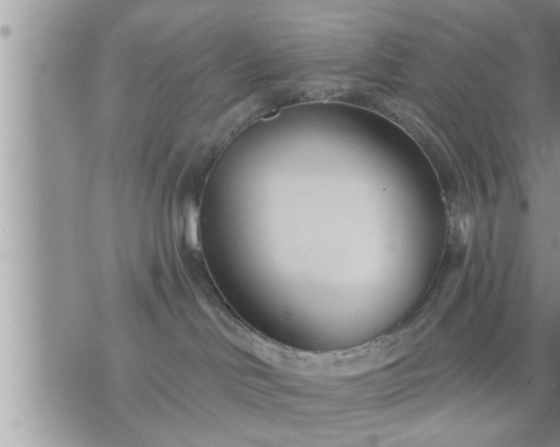 X0000073730046200608101941