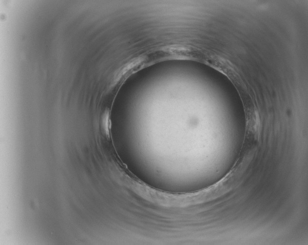 X0000073730047200608101941