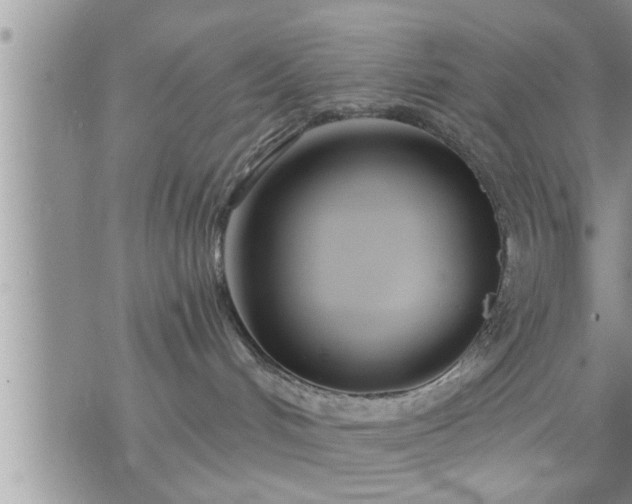 X0000073730048200608101941