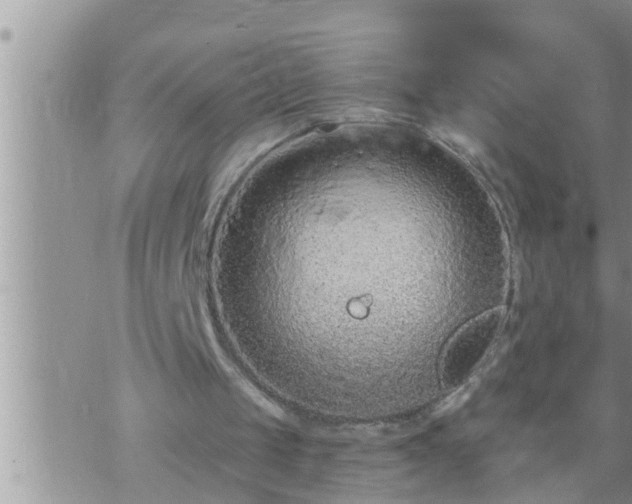 X0000073730049200608101940