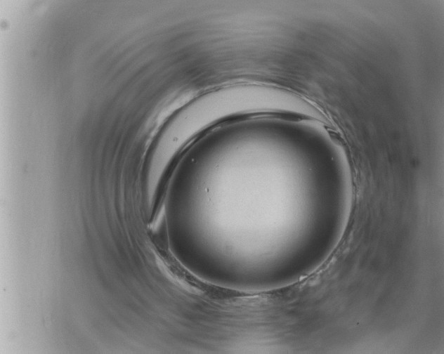 X0000073730050200608101940