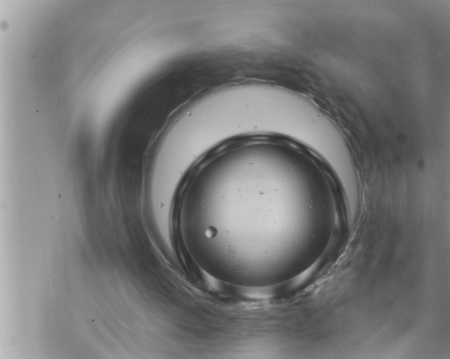 X0000073730052200608101940