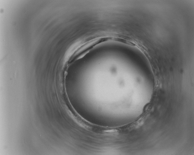 X0000073730053200608101940