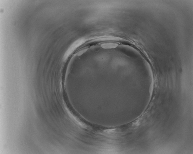 X0000073730054200608101940