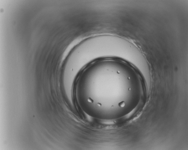 X0000073730056200608101940