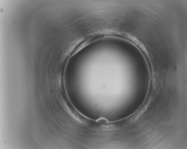 X0000073730057200608101940