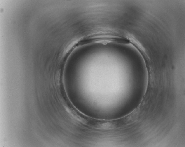 X0000073730058200608101940