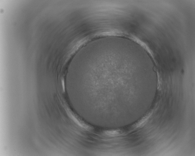 X0000073730061200608101940