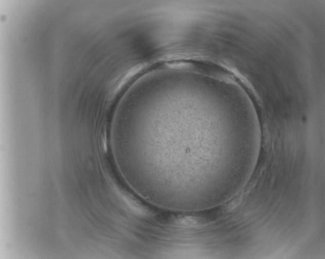 X0000073730062200608101940