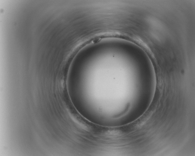 X0000073730063200608101940