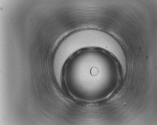 X0000073730064200608101940