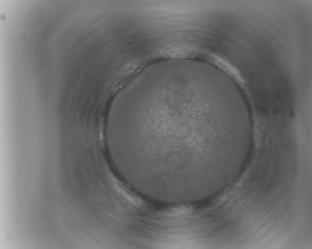 X0000073730065200608101940