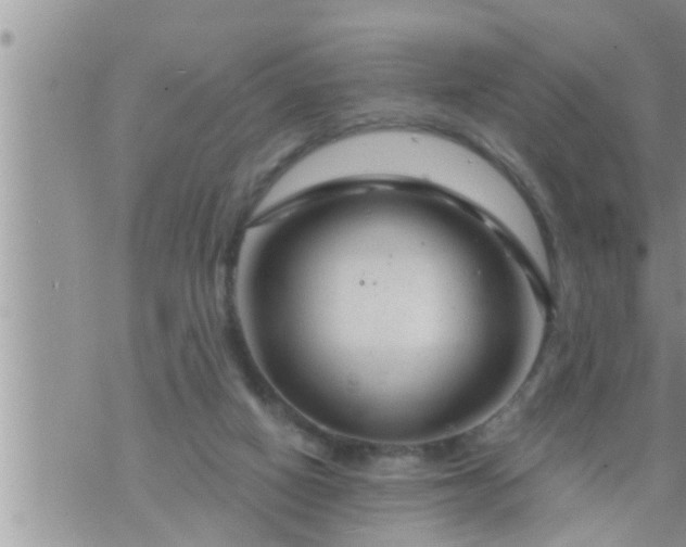 X0000073730066200608101940