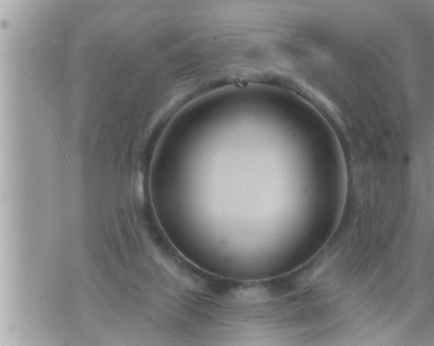 X0000073730067200608101940