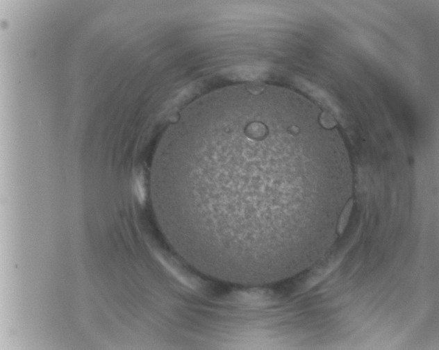 X0000073730069200608101940