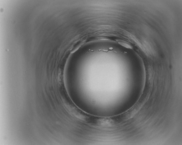 X0000073730073200608101940