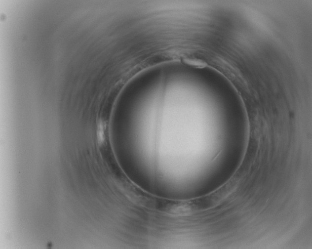 X0000073730075200608101940