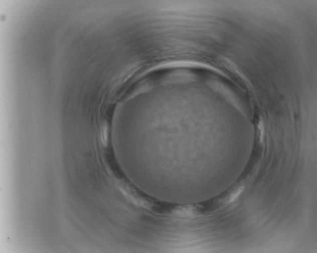 X0000073730076200608101940