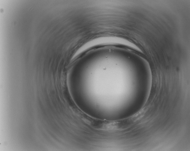 X0000073730078200608101940