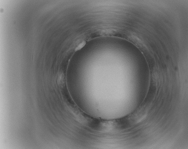 X0000073730079200608101940