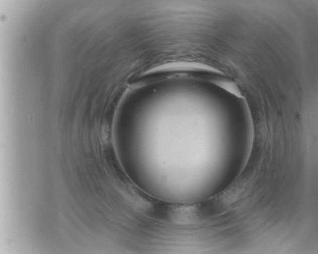 X0000073730081200608101940