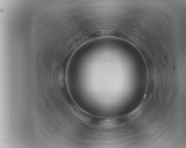 X0000073730082200608101940