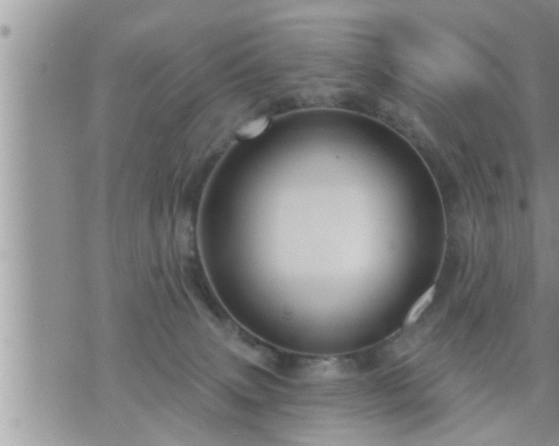 X0000073730083200608101940