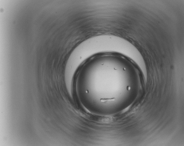 X0000073730084200608101940