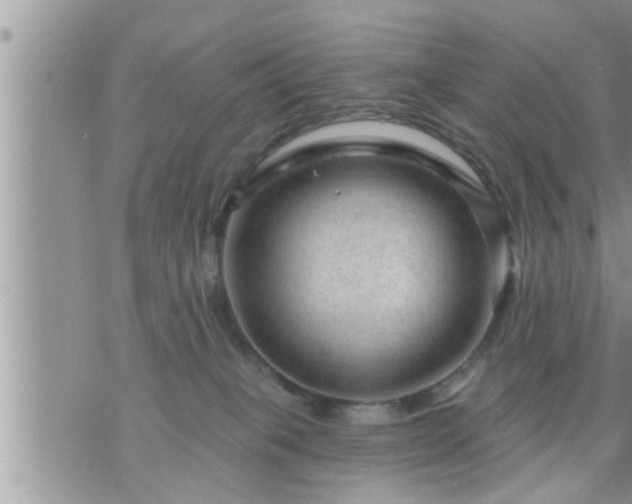 X0000073730085200608101940