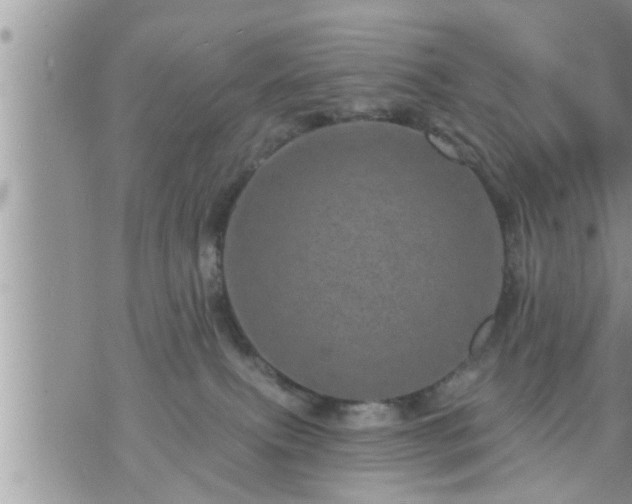 X0000073730087200608101940