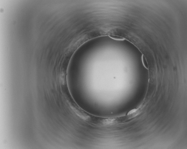 X0000073730090200608101940