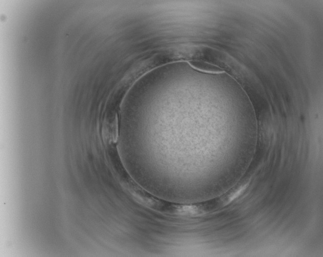 X0000073730091200608101940