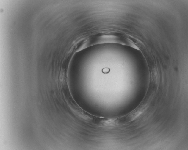 X0000073730092200608101940