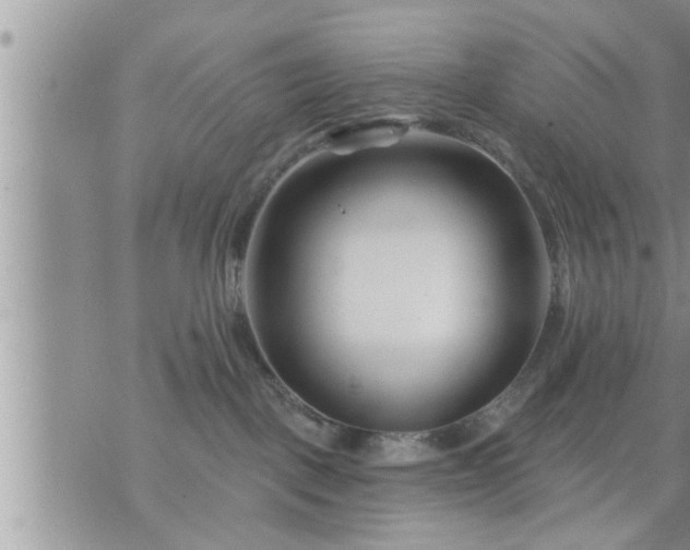 X0000073730093200608101940