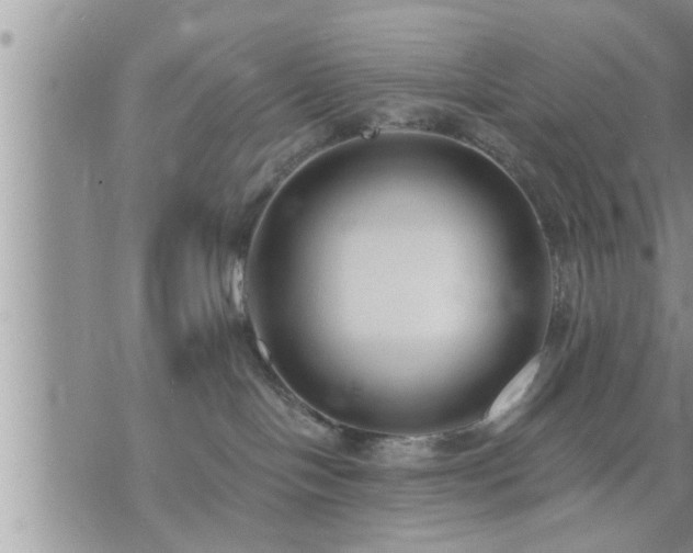 X0000073730094200608101940