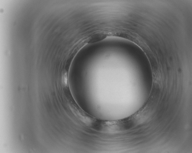 X0000073730095200608101941