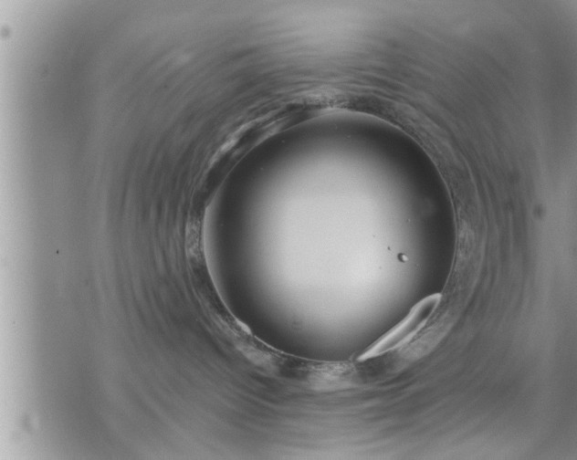 X0000073730096200608101941