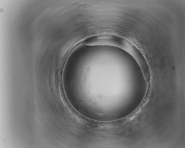 X0000073730097200608101940