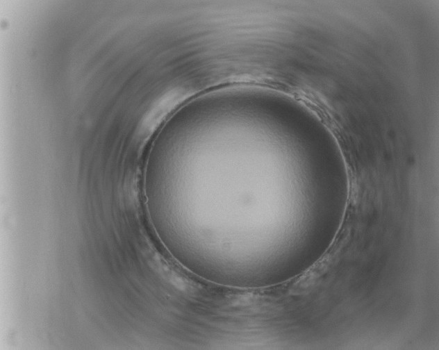 X0000073730098200608101940