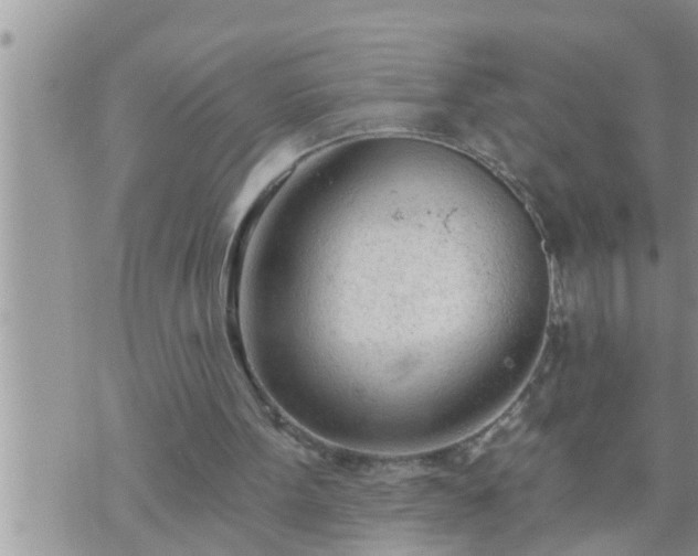 X0000073730099200608101940