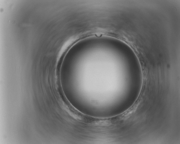 X0000073730102200608101940