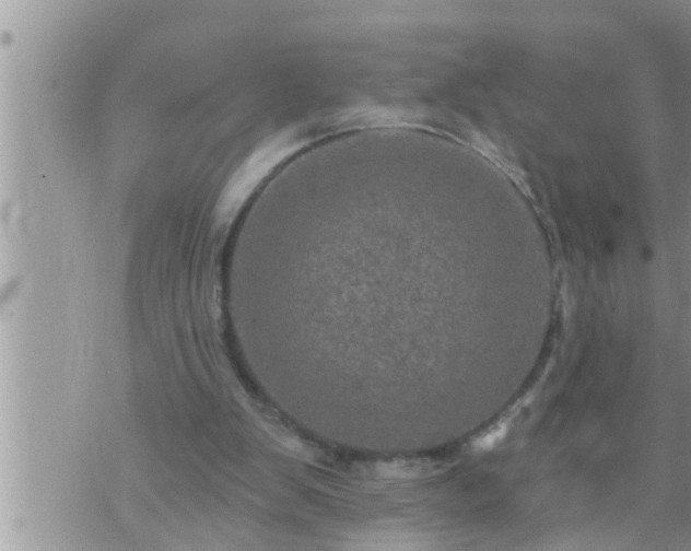 X0000073730103200608101940