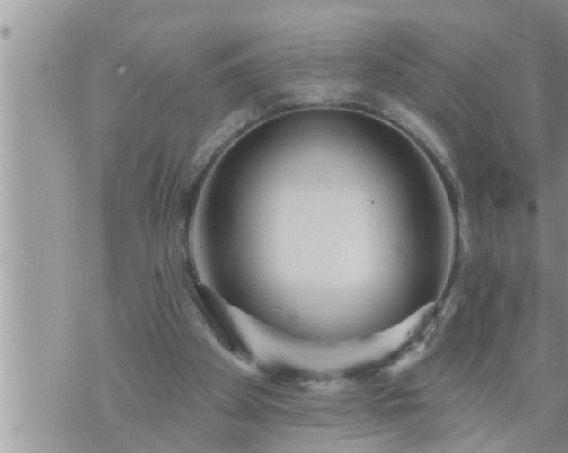 X0000073730105200608101940