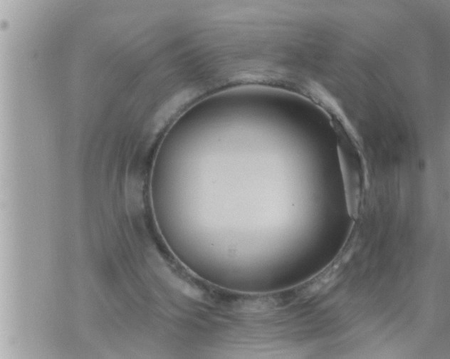 X0000073730106200608101940